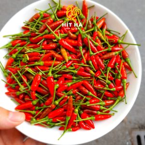 ớt_xiêm
